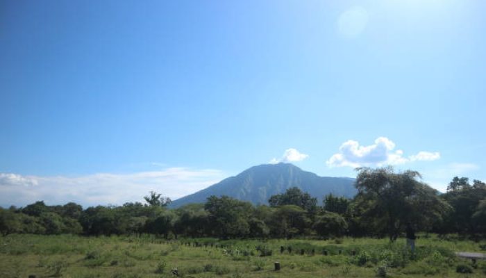 Eksplorasi Alam Liar di Taman Nasional Baluran