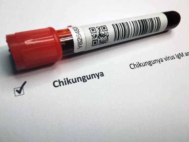 chikungunya