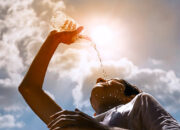 Gelombang Panas dan Dampaknya pada Penuaan Biologis