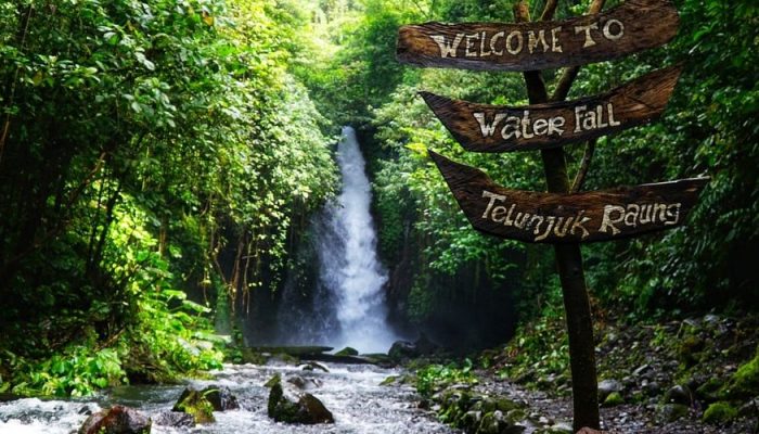 Air Terjun Telunjuk Raung Banyuwangi, Pesona Alam Tersembunyi