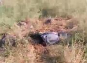 Misteri Orang Hilang Terjawab, Pria Ditemukan Meninggal Dunia di Kawasan Hutan Baluran Situbondo