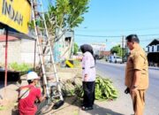 Truk Angkut Tebu Seret Kabel di Lampu Merah Pasar Kampung Asembagus, Sejumlah Sepeda Motor Tergelincir; Wakil Bupati Situbondo Ulfiyah Langsung Turun ke Lokasi